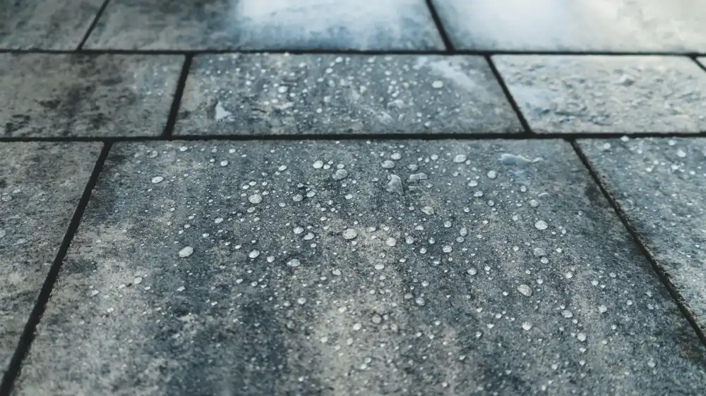 Home - Termékfejlesztés